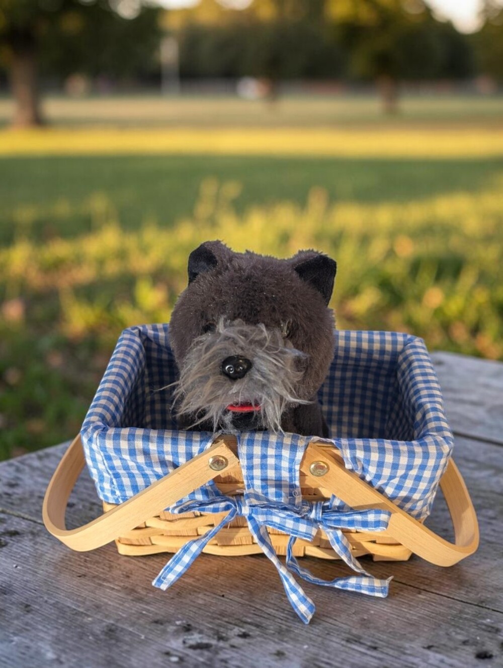 Wizard Of Oz Inspired Toto in Gingham Basket Costume Accessory, NIB